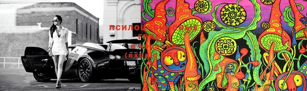 скорость Заводоуковск
